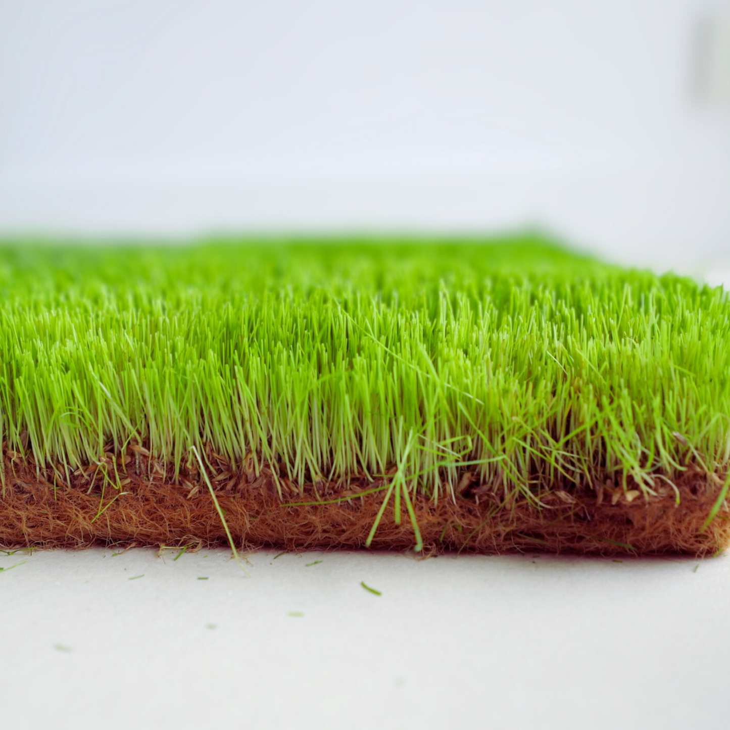 Real Grass Patch