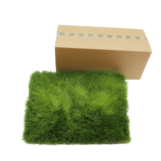 FREE Real Grass Patch