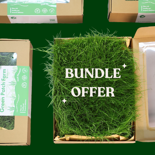 Green Patch Farm Fresh Meadow Bundle