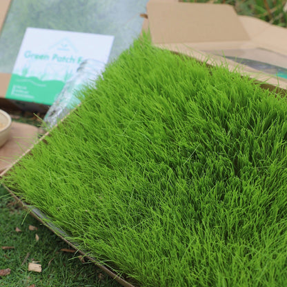 Green Patch Farm Fresh Meadow