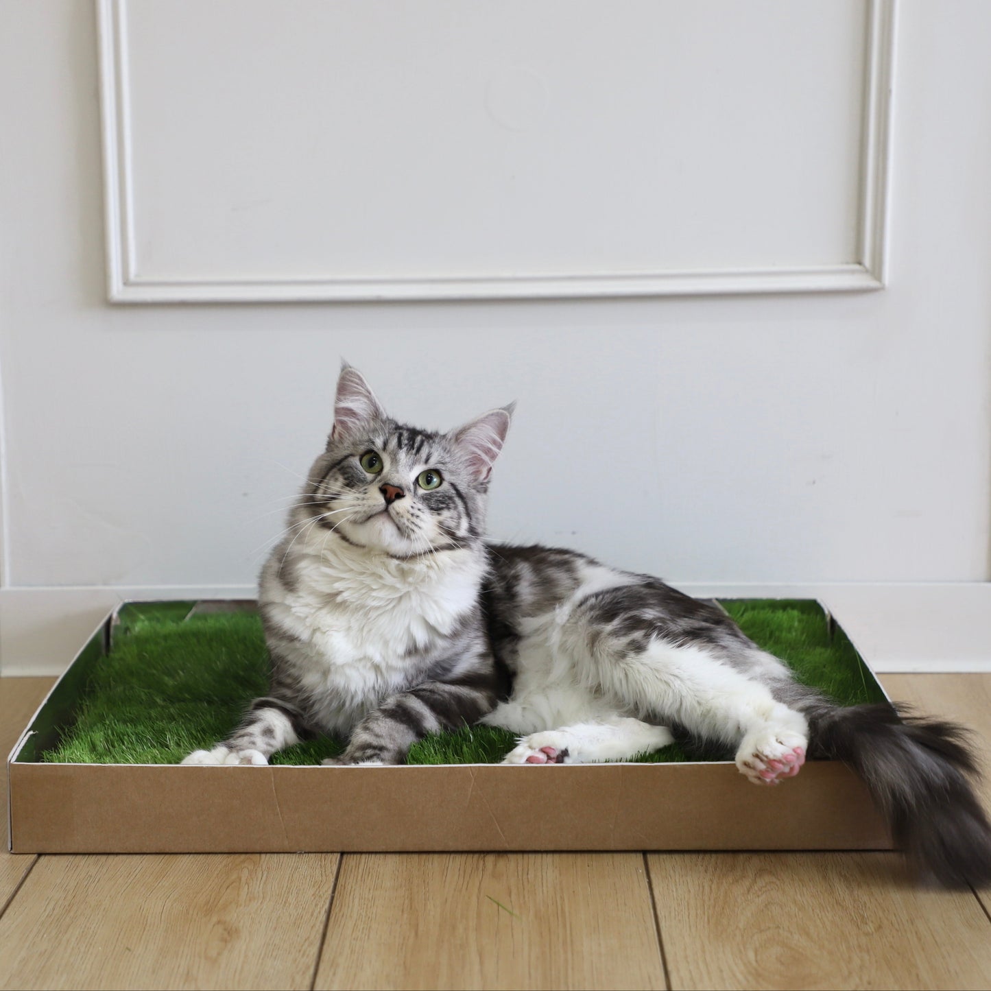 Green Patch On-The-Go Grass Patch