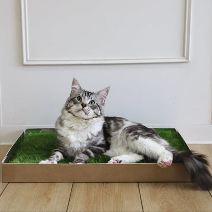 Green Patch On-The-Go Grass Patch