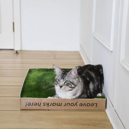 Green Patch On-The-Go Grass Patch