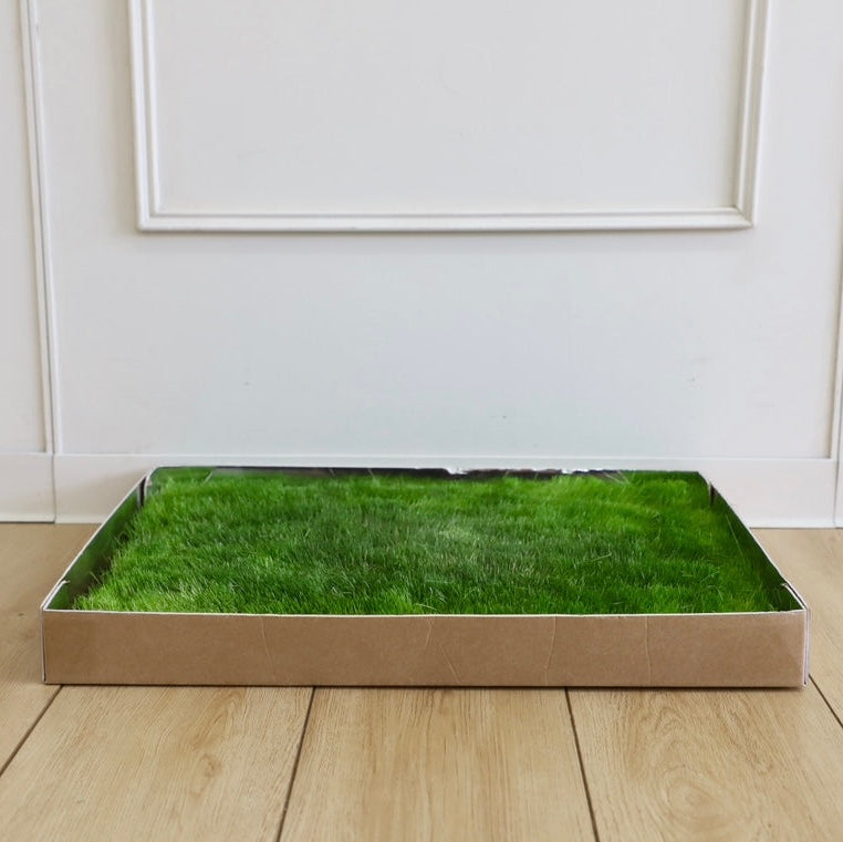 Green Patch On-The-Go Grass Patch