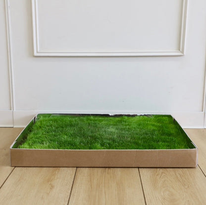 Green Patch On-The-Go Grass Patch