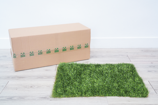 Real Grass Patch Bundle